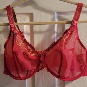 Elomi, sheer Fuchsia unlined bra size 40F